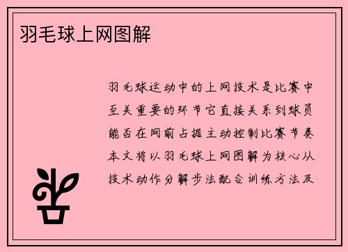 羽毛球上网图解